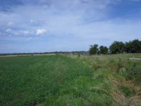 Land for sale in Colonia, Uruguay