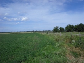 Campo en venta en Uruguay, Campo Agrícola, Colonia