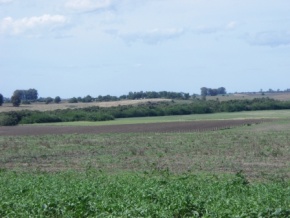 Campo en venta en Uruguay, Campo Agrícola, Colonia