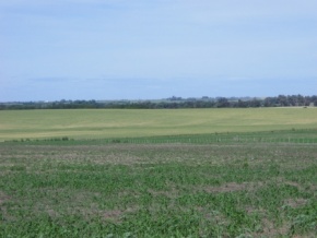 Land for sale in Colonia, Uruguay