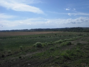Campo en venta en Uruguay, Campo Agrícola, Colonia