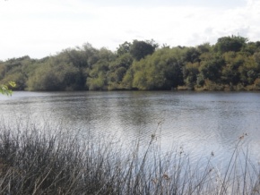 Campo en venta en Uruguay, Campo Agrícola, Colonia