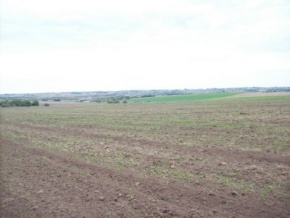 Land for sale in San Jose, Uruguay