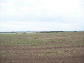 Campo en venta en Uruguay, Campo agrícola ganadero, San José