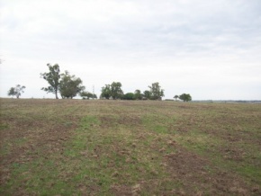 Campo en venta en Uruguay, Campo agrícola ganadero, San José