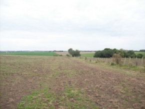 Campo en venta en Uruguay, Campo agrícola ganadero, San José