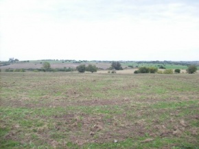 Campo en venta en Uruguay, Campo agrícola ganadero, San José
