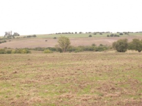 Campo en venta en Uruguay, Campo agrícola ganadero, San José
