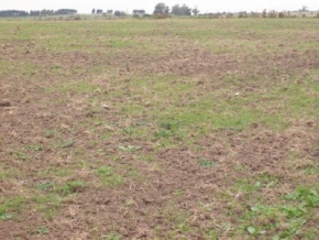 Campo en venta en Uruguay, Campo agrícola ganadero, San José