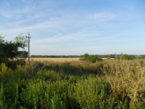 Chacra en venta en Colonia, Uruguay