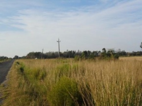 Chacra en venta en Colonia, Uruguay