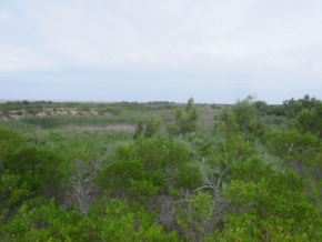 Farm for Sale in Colonia, Uruguay, with 1111 meters of coast