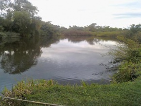 Agricultural Livestock Land for Sale in Florida, Uruguay. Coast over creeks.