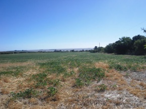 Chacra en venta en Colonia, Uruguay