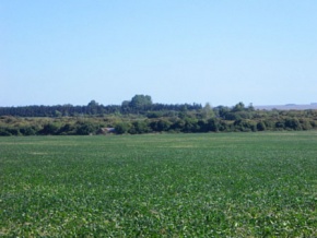 Chacra en venta en Colonia, Uruguay