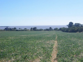 Chacra en venta en Colonia, Uruguay