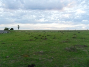 Campo ganadero: 33 hectáreas en venta en San José, Uruguay