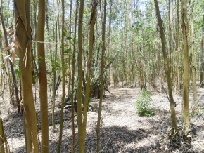 Excelente fraccion de campo en venta con 550 metros de costa al rio de la Plata, en San Jose, Uruguay.
