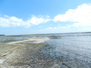 ANGOSTURA - ROCHA, SENSACIONAL campo con varios kilometros de costa del Oceano Atantico y la Laguna 