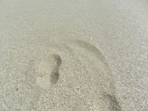 ANGOSTURA - ROCHA, SENSACIONAL campo con varios kilometros de costa del Oceano Atantico y la Laguna 