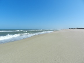 ANGOSTURA - ROCHA, SENSACIONAL campo con varios kilometros de costa del Oceano Atantico y la Laguna 