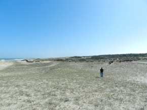 ANGOSTURA - ROCHA, SENSACIONAL campo con varios kilometros de costa del Oceano Atantico y la Laguna 