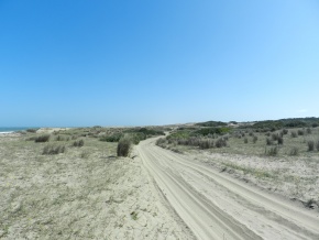 ANGOSTURA - ROCHA, SENSACIONAL campo con varios kilometros de costa del Oceano Atantico y la Laguna 