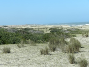 ANGOSTURA - ROCHA, SENSACIONAL campo con varios kilometros de costa del Oceano Atantico y la Laguna 