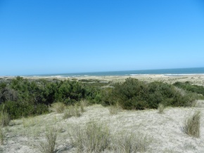 ANGOSTURA - ROCHA, SENSACIONAL campo con varios kilometros de costa del Oceano Atantico y la Laguna 