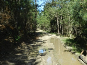 ANGOSTURA - ROCHA, SENSACIONAL campo con varios kilometros de costa del Oceano Atantico y la Laguna 