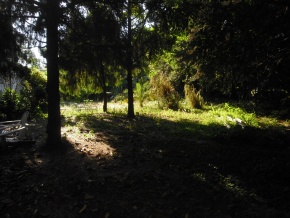 Terreno en venta a 50 metros de la rambla costanera de Colonia