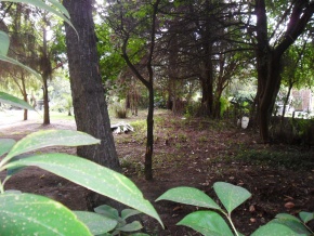 Terreno en venta a 50 metros de la rambla costanera de Colonia
