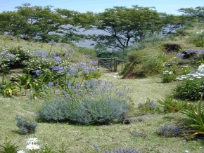 Chacra en venta sobre el Rio de la Plata, San Pedro, Colonia, Uruguay