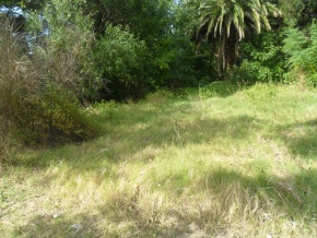 Terreno en venta sobre la Rambla Costanera de Colonia, Uruguay