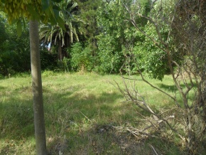 Terreno en venta sobre la Rambla Costanera de Colonia, Uruguay