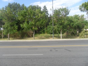 Land for sale in Colonia on the promenade, ideal for building project