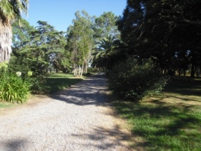 Chacra en Colonia, ideal para Posada u Hotel de Campo