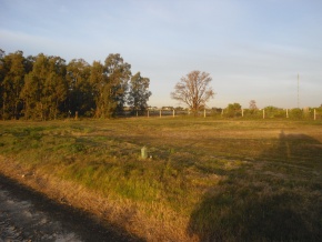 Oportunidad de inversion: terreno en Real de San Carlos Village & Golf Club, Colonia, Uruguay