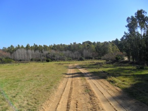 Campo turÃ­stico forestal con playa privada en venta en Uruguay
