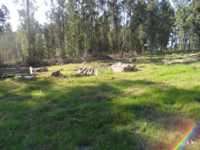Campo turÃ­stico forestal con playa privada en venta en Uruguay