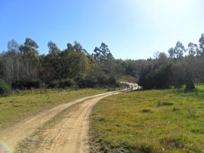 Campo turÃ­stico forestal con playa privada en venta en Uruguay