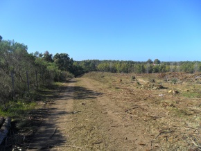 Forestry land for tourism with private beach for sale in Canelones, Uruguay