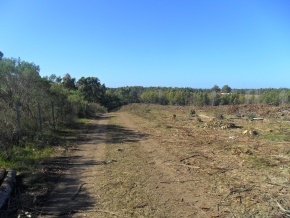 Campo turÃ­stico forestal con playa privada en venta en Uruguay