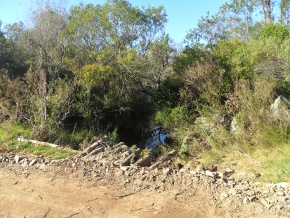 Campo turÃ­stico forestal con playa privada en venta en Uruguay