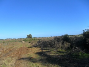 Campo turÃ­stico forestal con playa privada en venta en Uruguay