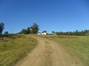 Campo turÃ­stico forestal con playa privada en venta en Uruguay