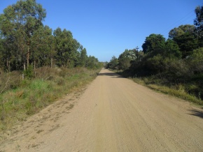 Campo turÃ­stico forestal con playa privada en venta en Uruguay