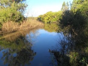 Campo turÃ­stico forestal con playa privada en venta en Uruguay