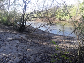 Campo turÃ­stico forestal con playa privada en venta en Uruguay