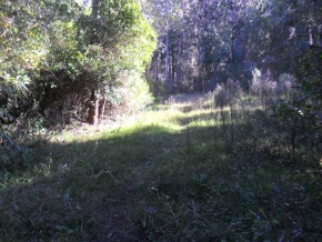 Campo turÃ­stico forestal con playa privada en venta en Uruguay